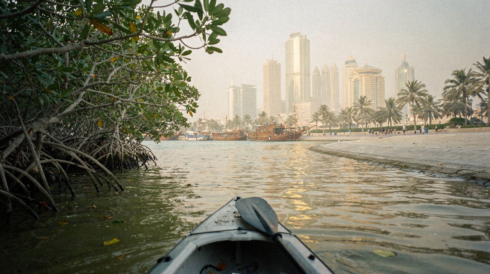 Kayak dans les mangroves