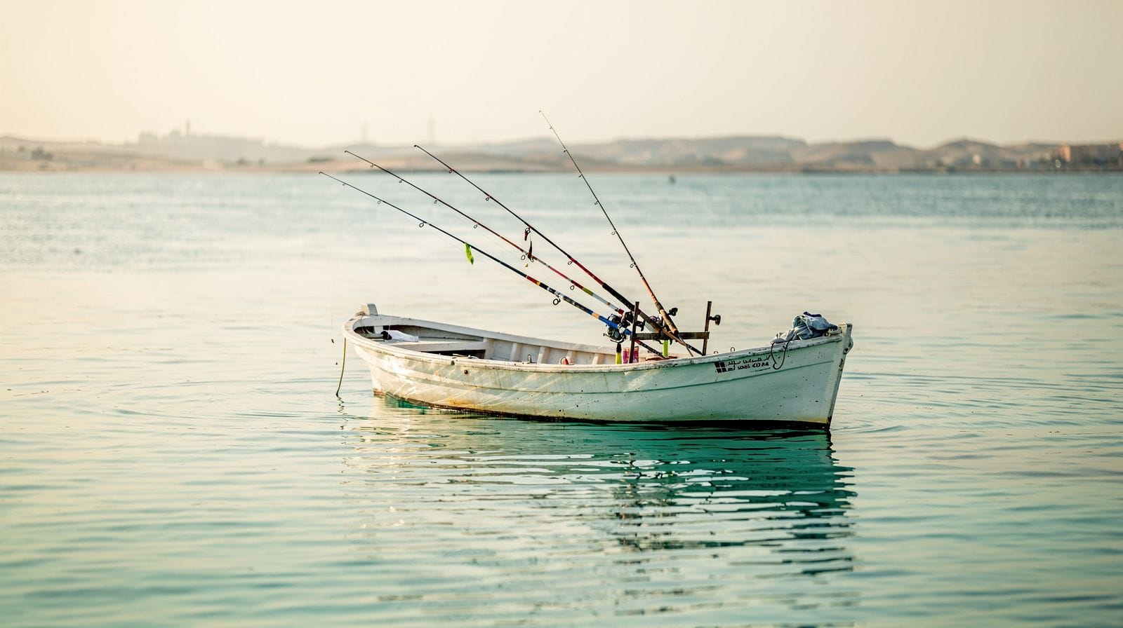 Excursiones de pesca desde Doha: barcos privados y compartidos