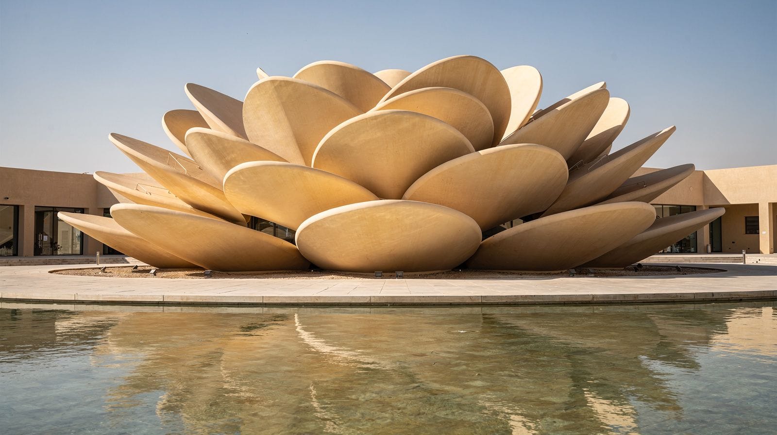 National Museum of Qatar: A Visitor's Guide