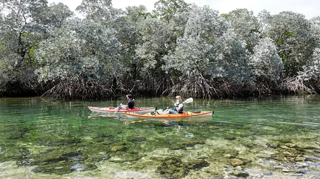 Combining Mangrove Kayaking with Al Zubarah and Al Khor