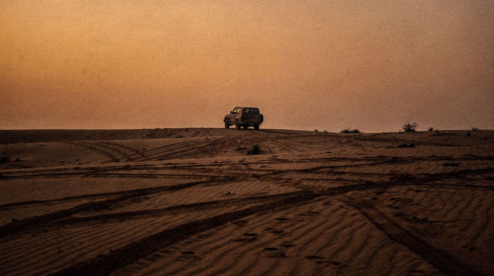 Sunset Desert Safari in Doha: Dunes, Sandboarding and Golden-Hour Sealine